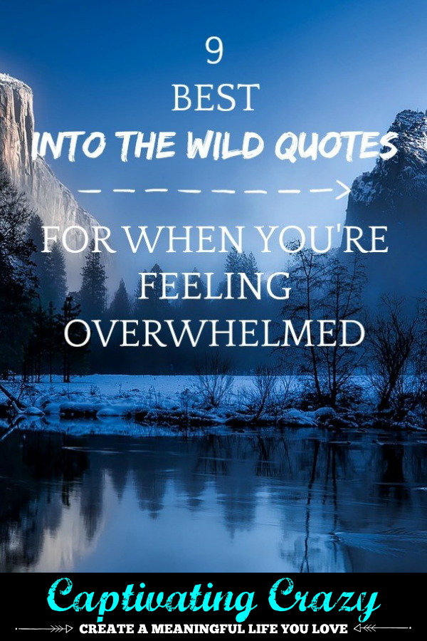 9 Into The Wild Quotes For When You Re Feeling Overwhelmed Captivating Crazy