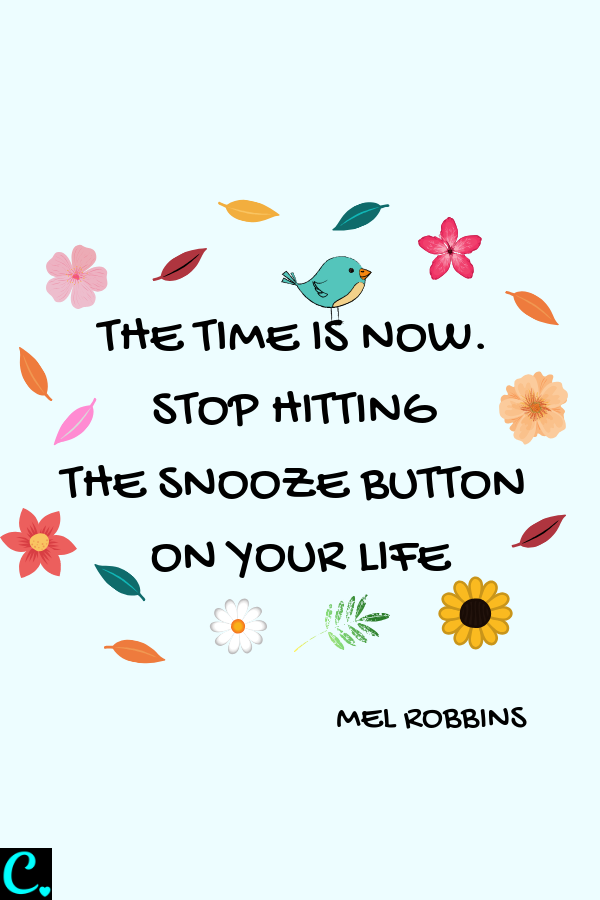 The Time Is Now, Stop Hitting The Snooze Button On Your Life | Positive Quote | Personal Development Quote | Motivational Quote | Via: https://captivatingcrazy.com #captivatingcrazy #positivequote #morningroutinequote #quotesforsuccess #inspirationalquote