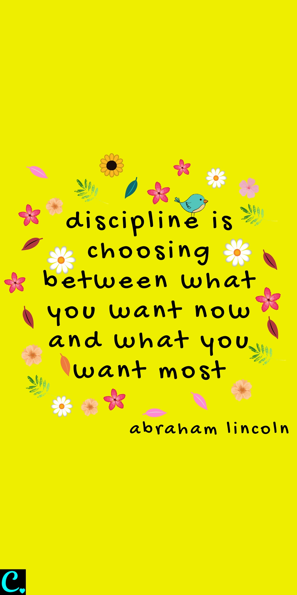 discipline is choosing between what you want now and what you want most - Abraham Lincoln Quote about discipline #productivityquotes #productivity #successquotes #success