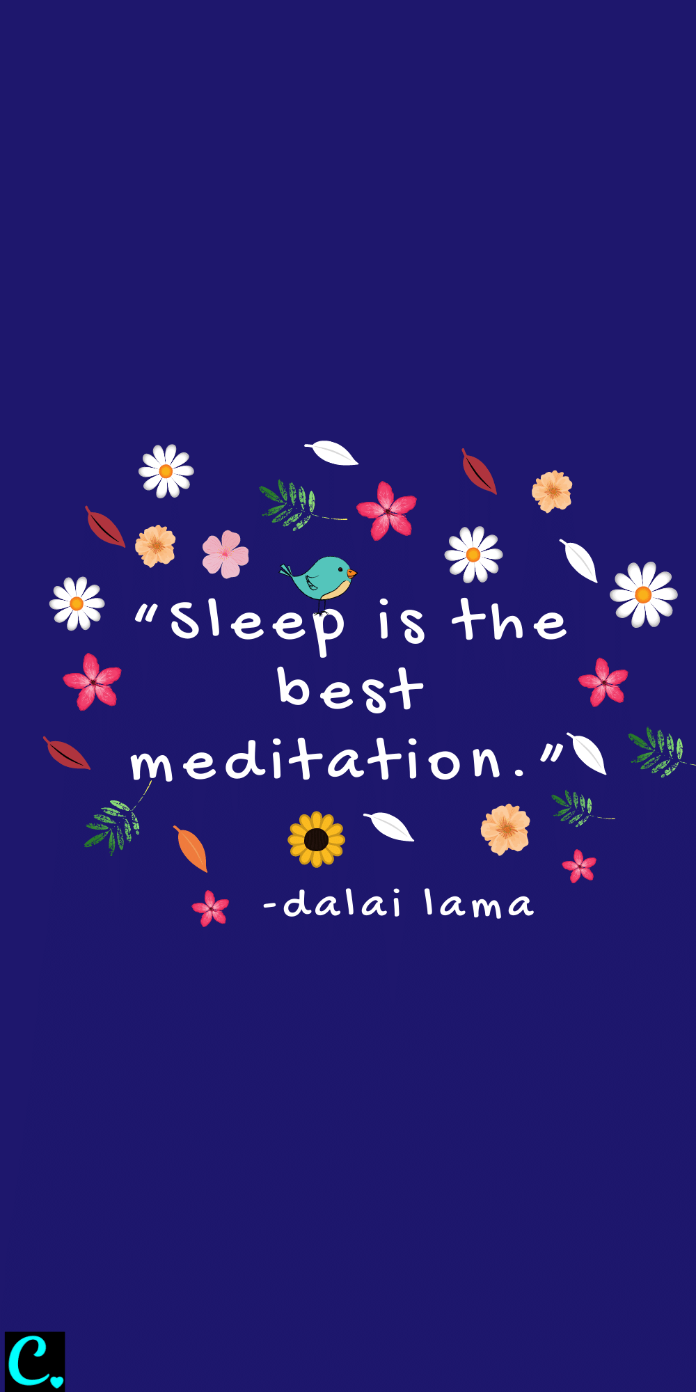 Sleep is the best meditation quote by Dalai Lama