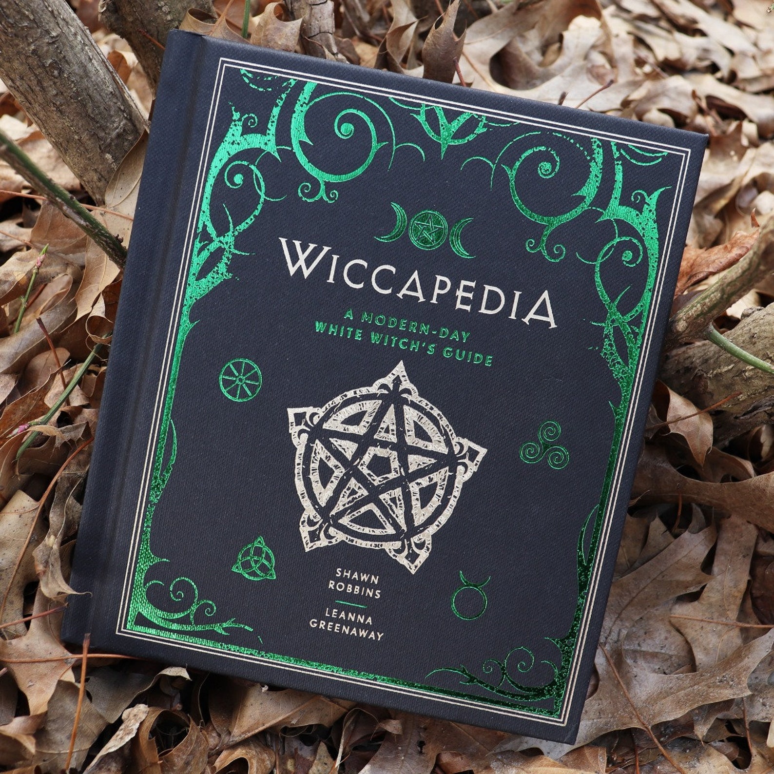 Wiccapedia A modern day white witches guide