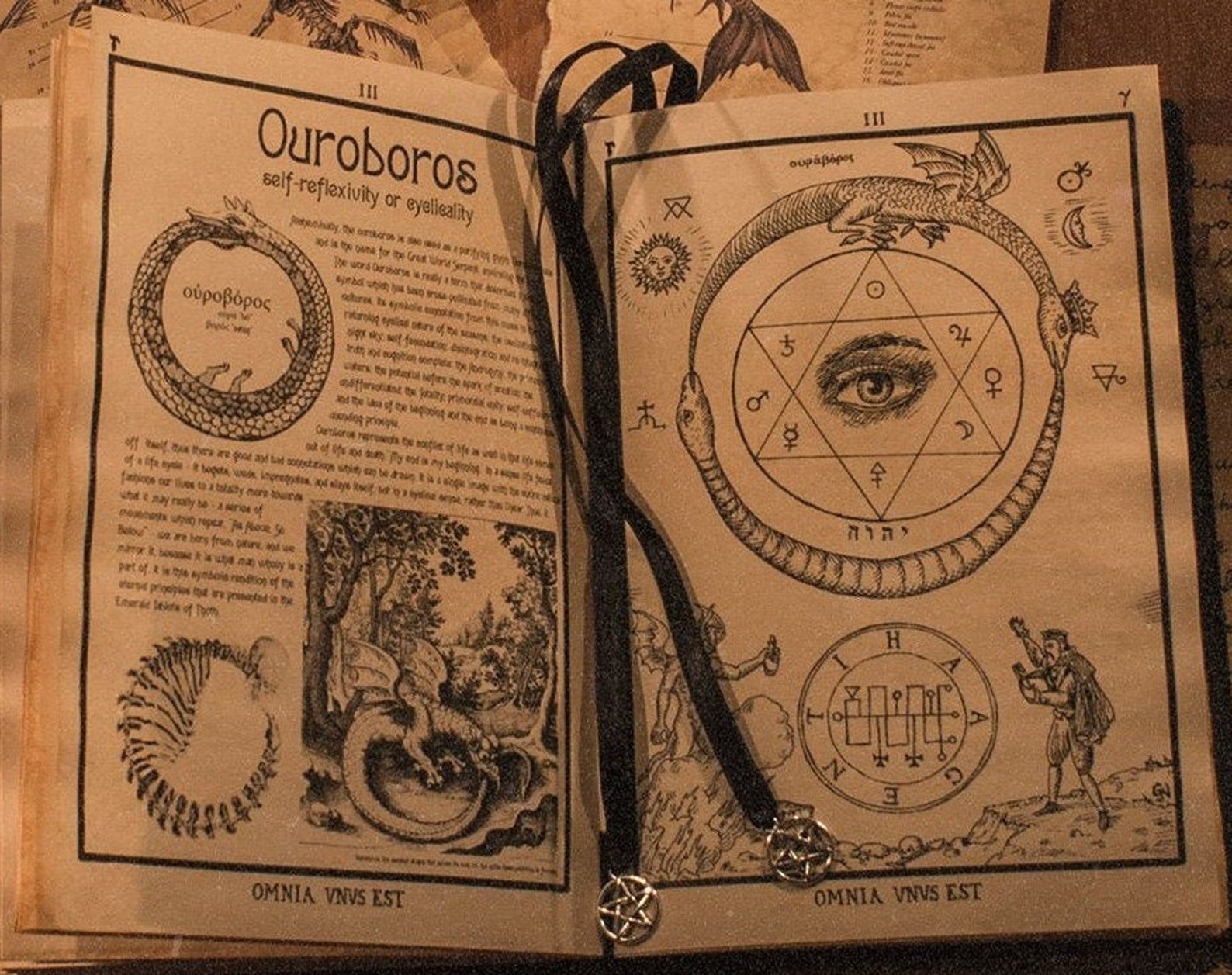 Witches Book Of Shadows