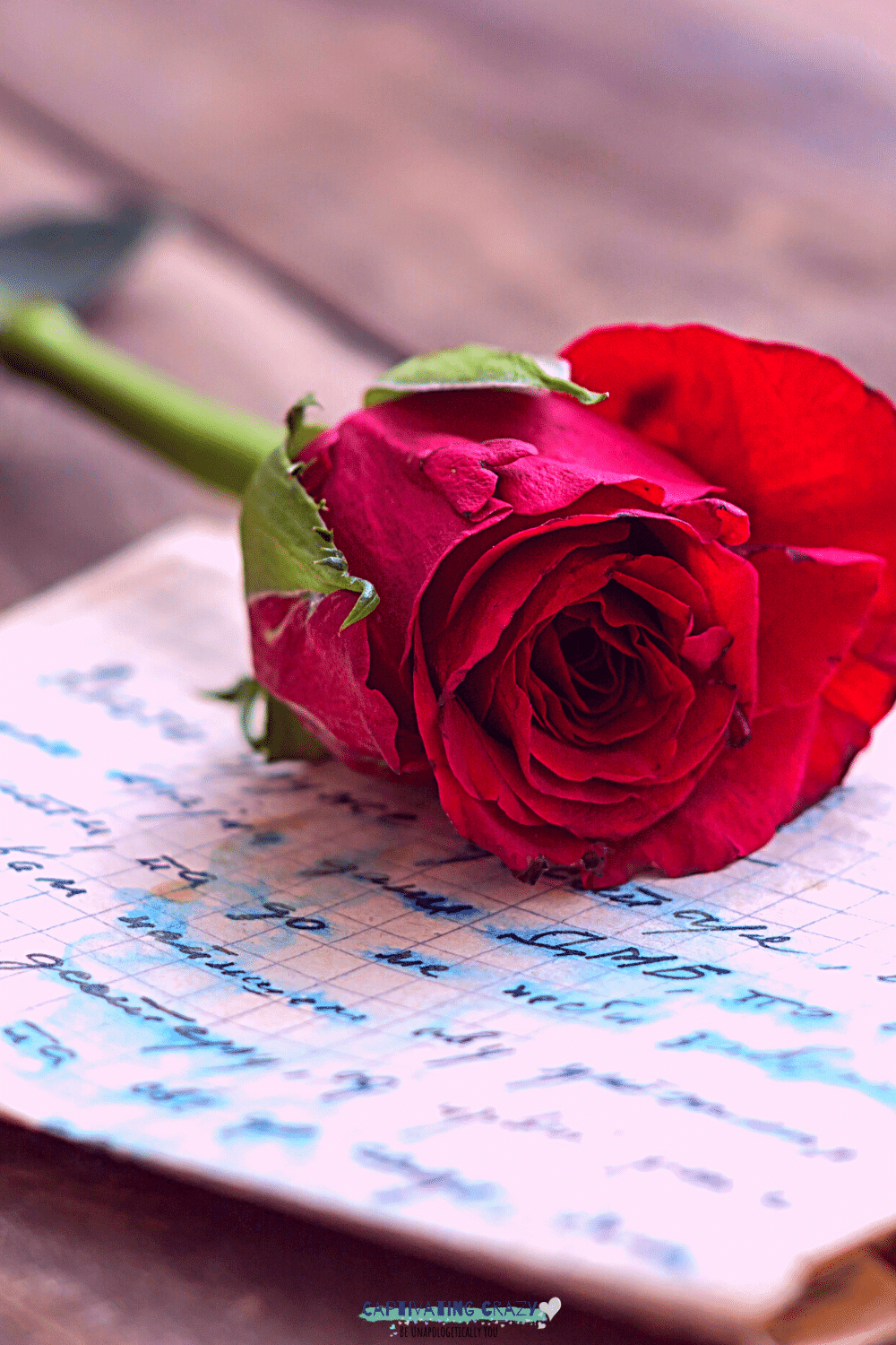 a love letter topped with a beautiful red rose