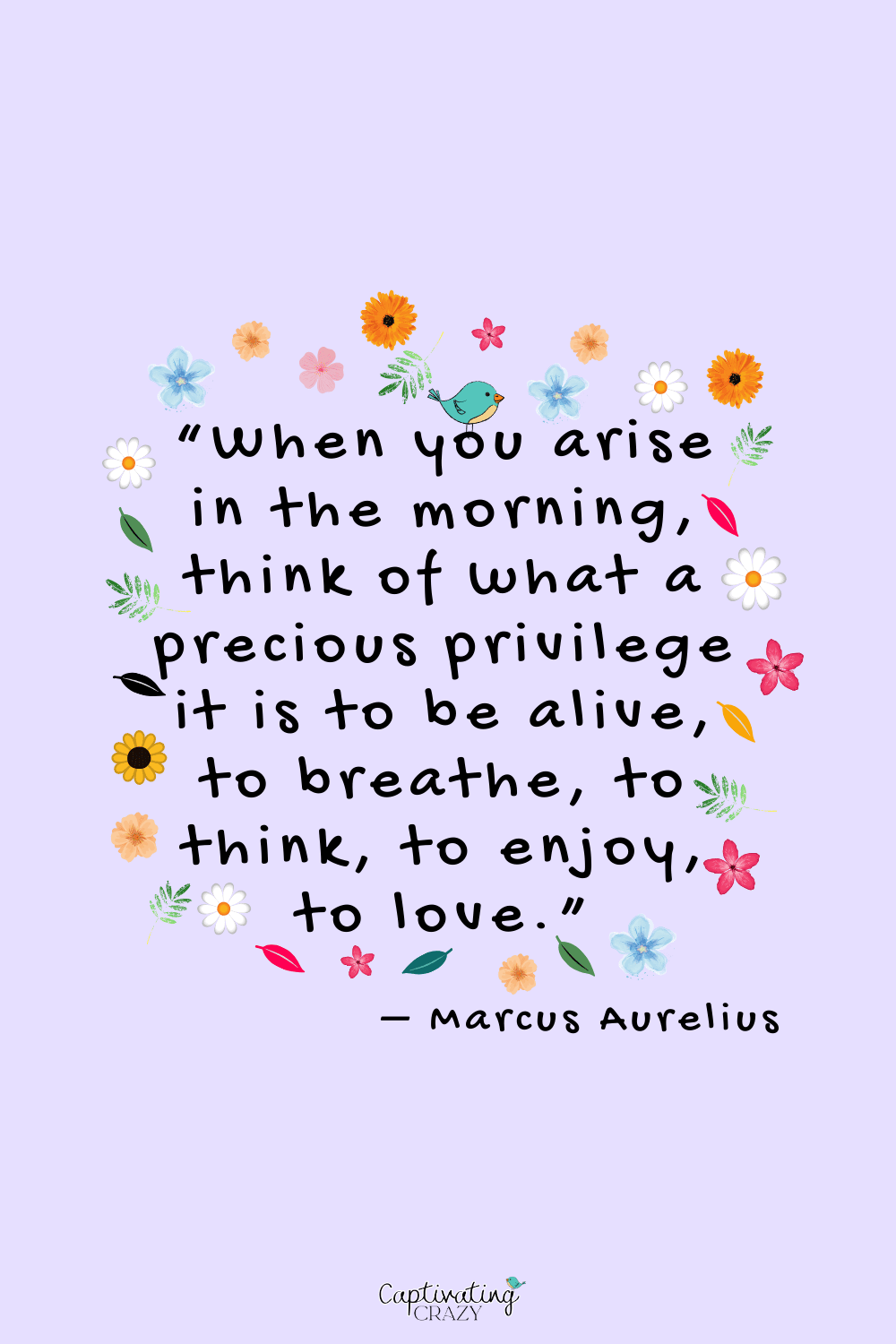Marcus Aurelius gratitude morning quote