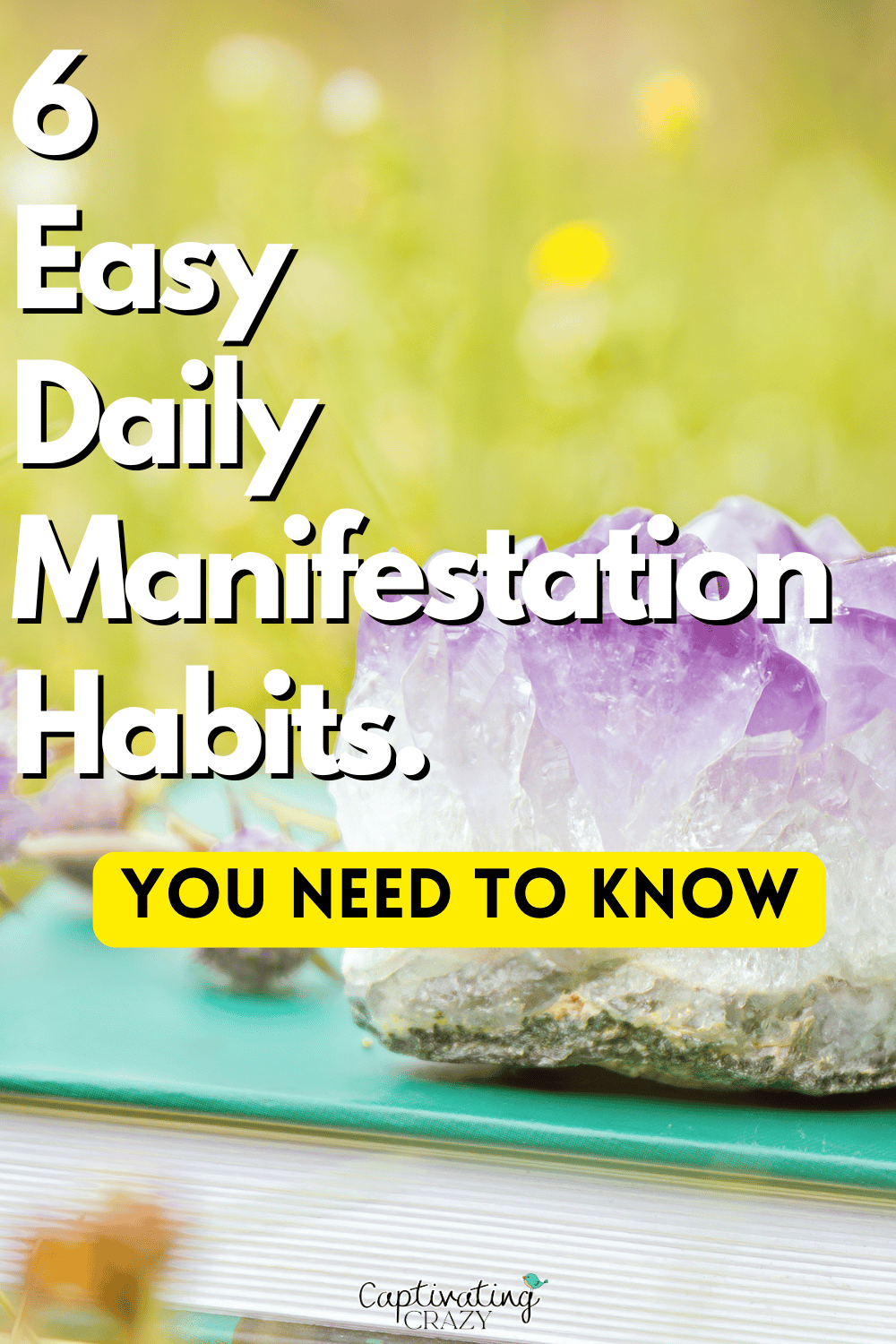 Discover 6 powerful manifestation habits every intuitive, spiritual woman should know. These are the best manifestation techniques for raising your vibration, aligning with your dream life, and attracting what you truly want. Whether you’re building a new manifestation routine, exploring new manifestation methods, or looking for real-life manifestation tips, this post has you covered. Learn how to manifest what you want through daily rituals, journaling, visualization, and more