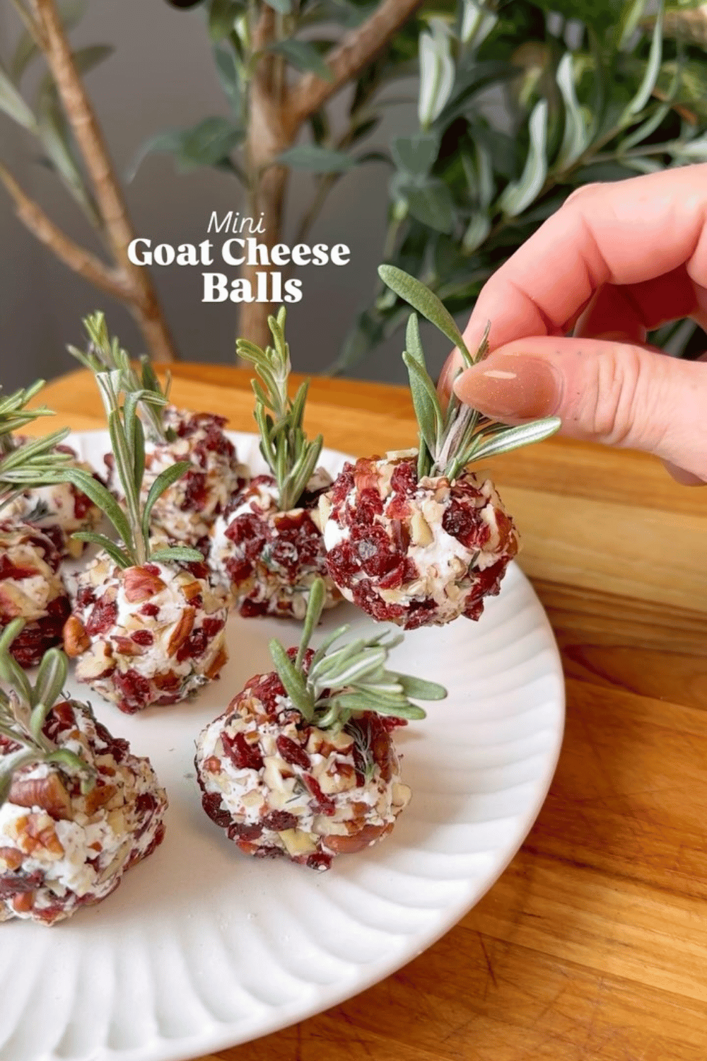 Mini goat cheese balls with herbs and nuts