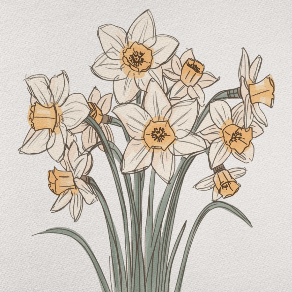 Hand drawn daffodil flowers for Easter and spring journal pages